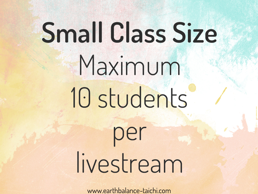 Online Tai Chi Small Class Size
