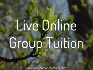Tai Chi Online Lessons Group