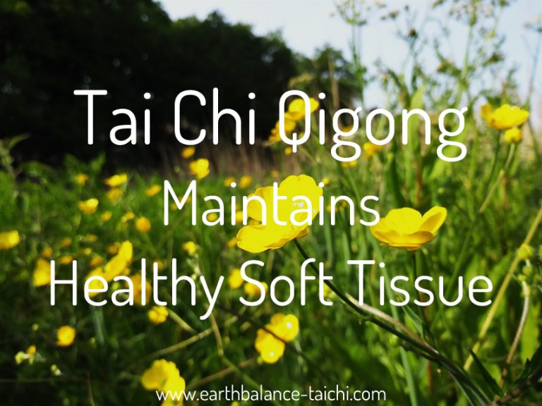 Tai Chi Qigong Healthy Soft Tissue