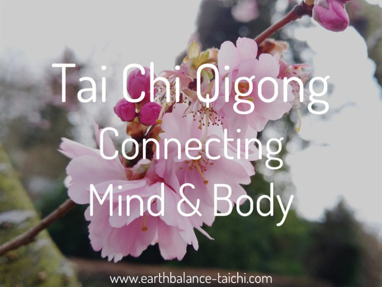 Tai Chi Qigong Mind Body Connection