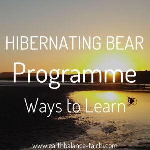 Ways to Learn the Hibernating Bear Programme