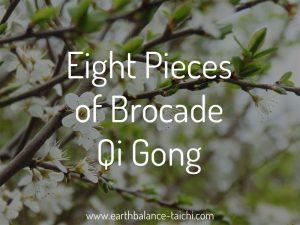 Eight Pieces of Brocade