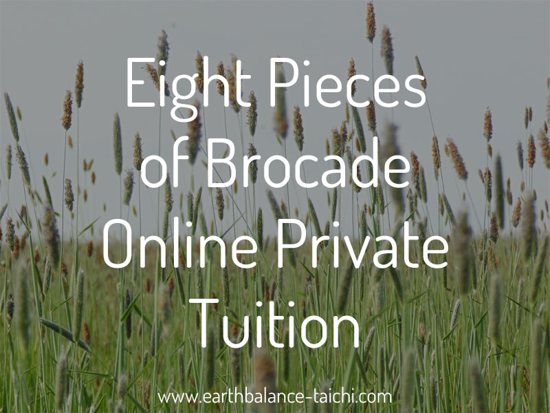 Eight Pieces of Brocade Online Lesson