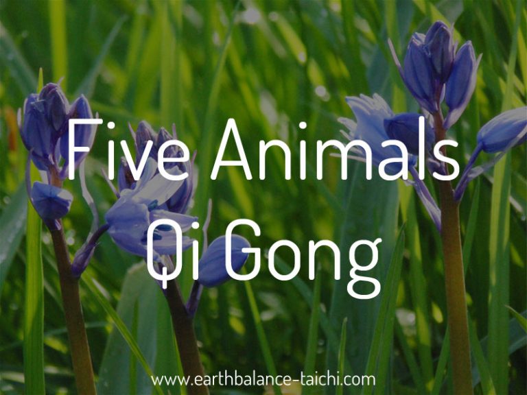 5 Animals Qigong Livestream | Online Classes Via Zoom