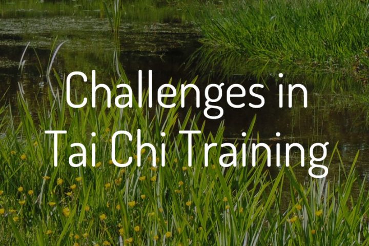 Challenges in Tai Chi Training