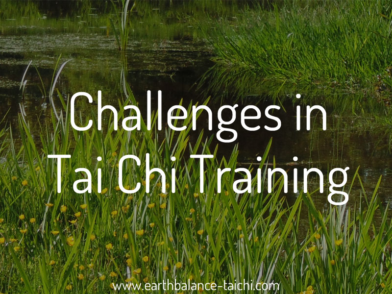 Challenges in Tai Chi Training