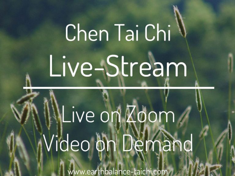 Chen Tai Chi Livestream