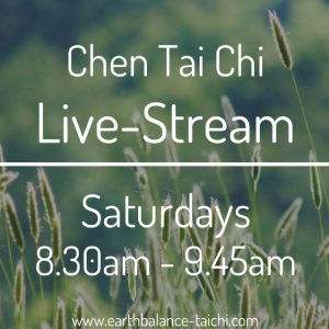 Chen Tai Chi Saturday Class