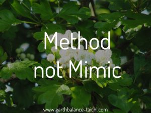 Method not Mimic