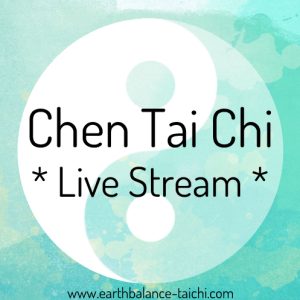 Tai Chi Online Group Class UK