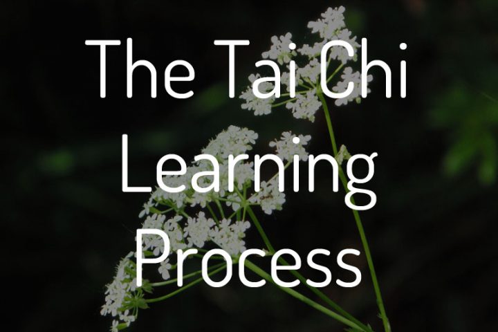 The Tai Chi Learning Process