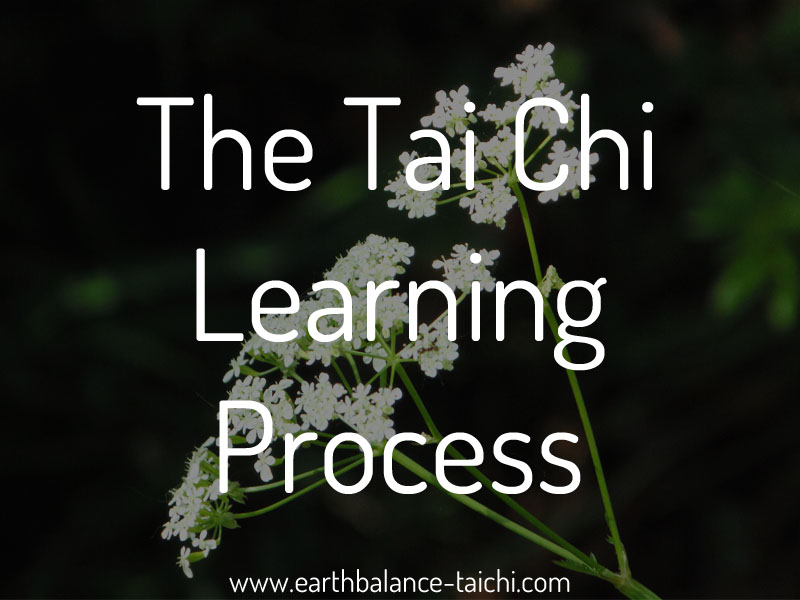 The Tai Chi Learning Process
