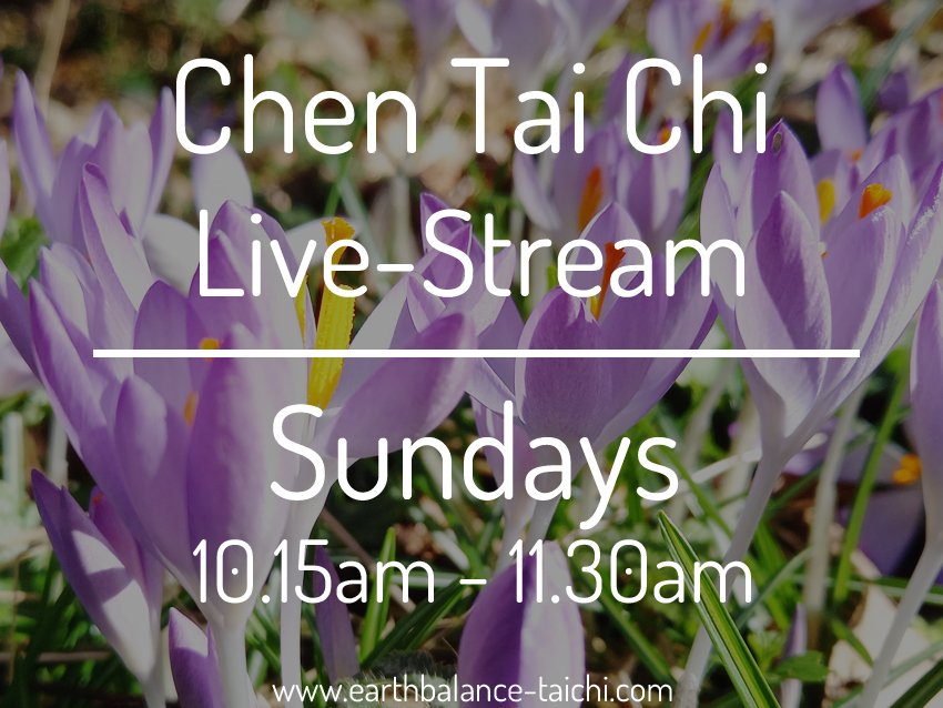 Weekly Chen Tai Chi Livestream
