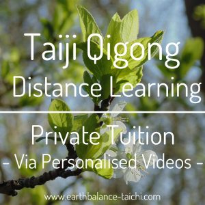 Distance Learning Taiji Qigong