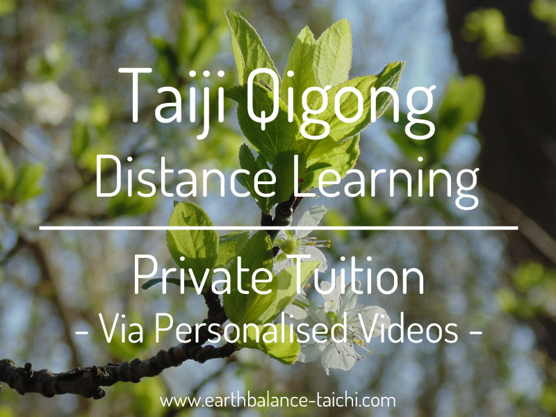 Distance Learning Taiji Qigong