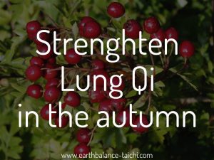 Autumn Qi for the Lungs