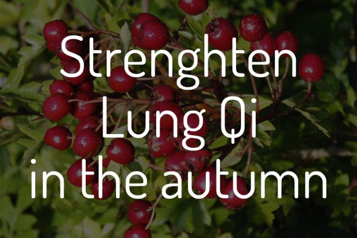 Autumn Qi for the Lungs