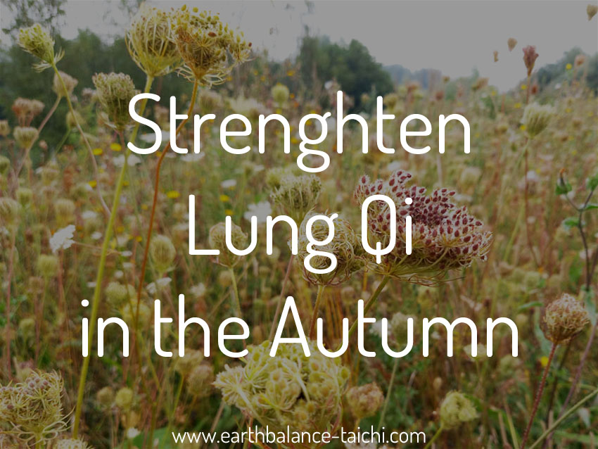 Autumn Qigong for the Lungs