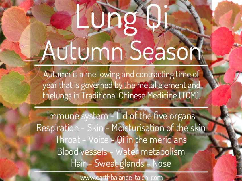 Qigong for the Lungs in Autumn