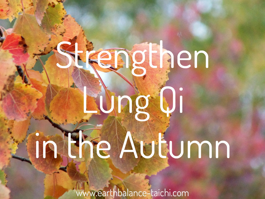 Strengthen Lung Qi in Autumn