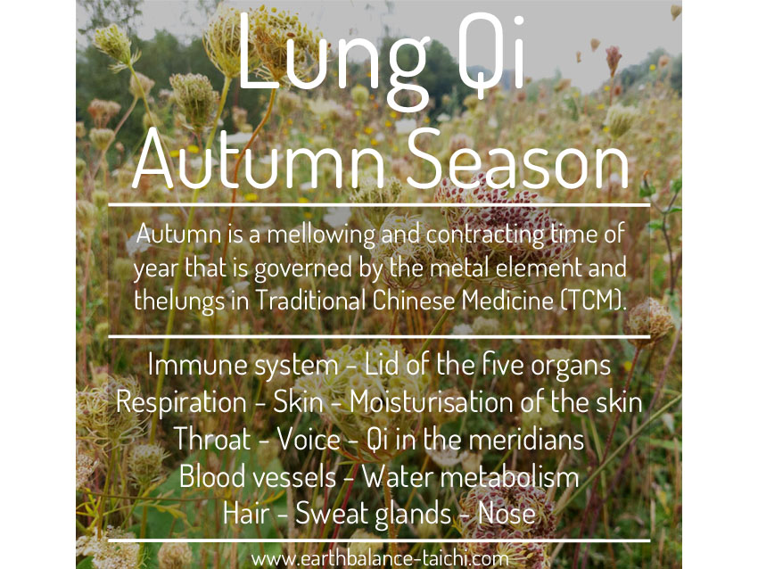 Strengthen the Lungs in Autumn