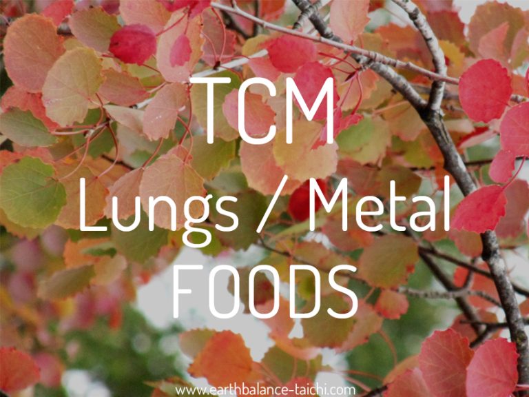 TCM Foods for Autumn