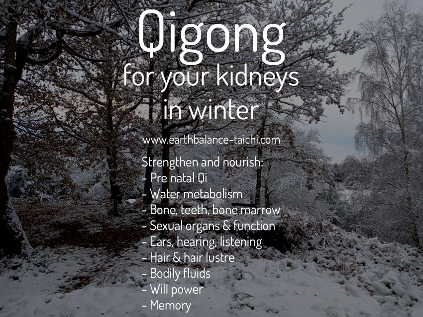 Qigong for Your Kidneys in the Winter