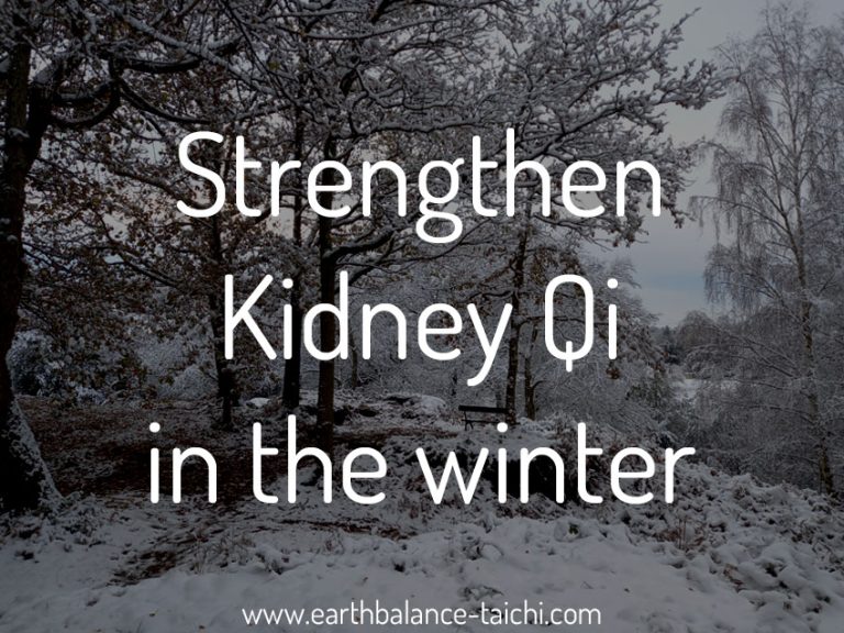 Strengthen Kidney Qi in the Winter