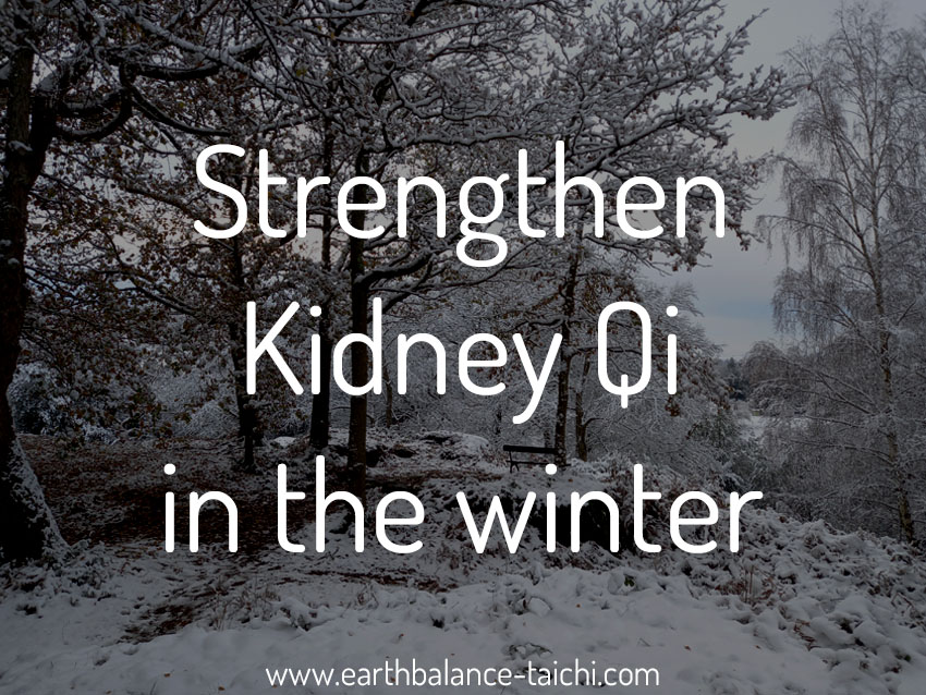 Strengthen Kidney Qi in the Winter