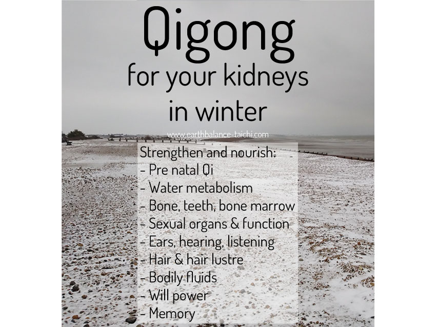 Winter Qi Gong for the Kidneys
