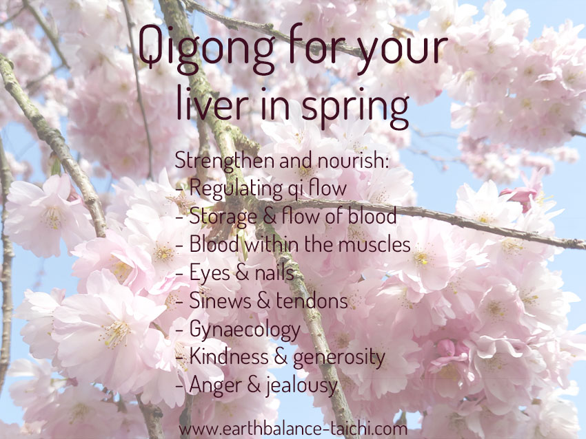 Qigong for your Liver in Spring