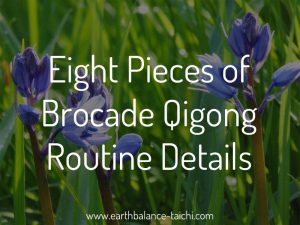 Eight Pieces of Brocade Routine Details
