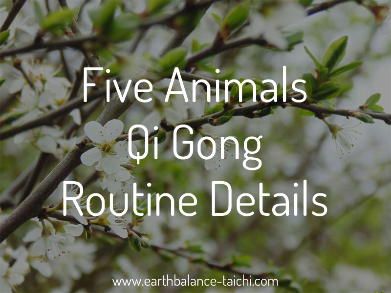 Five Animals Qigong Routine Details