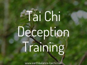 Tai Chi Deception Training