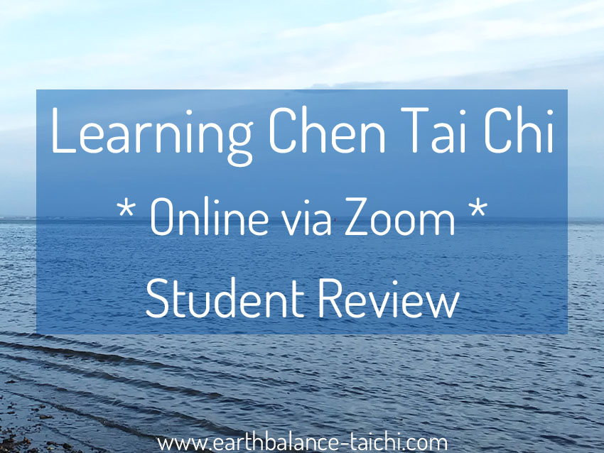 Chen Tai Chi via Zoom Student Review