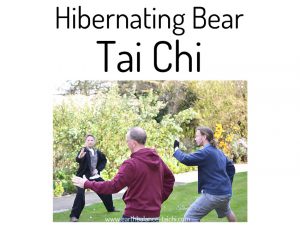 Hibernating Bear Tai Chi Classes