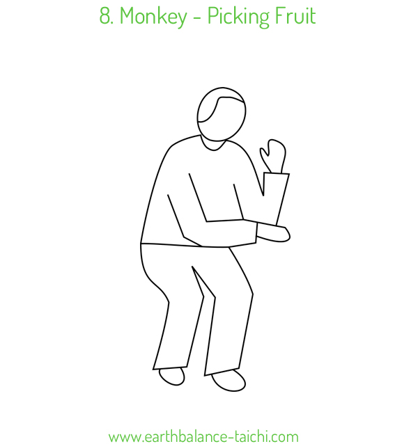 8. Picking Fruit Qigong