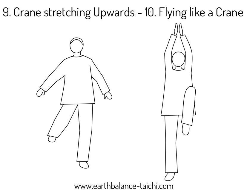 Crane Qigong Crane Qigong