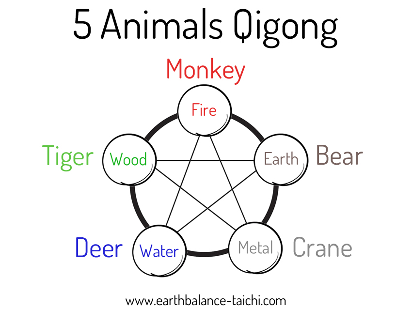 Five Elements Animals Qigong