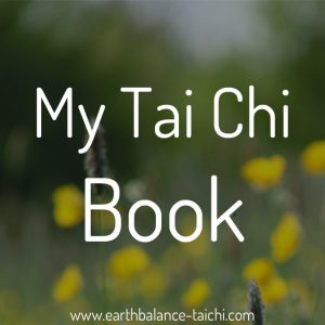 My Tai Chi Book
