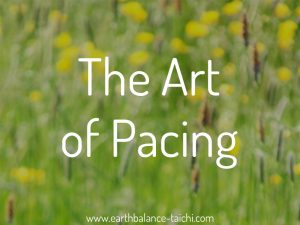 The Art of Pacing