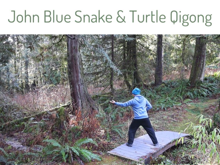 John Blue Snake and Turtle Qigong