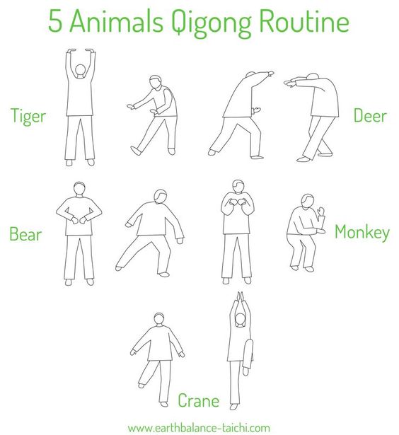 Five Animals Qi Gong Health Routine | Wu Qin Xi | 10 Moves