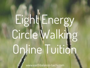 Eight Energy Circle Walking Online Lesson