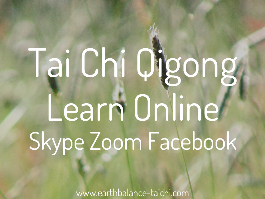 Skype Tai Chi Qigong Lessons