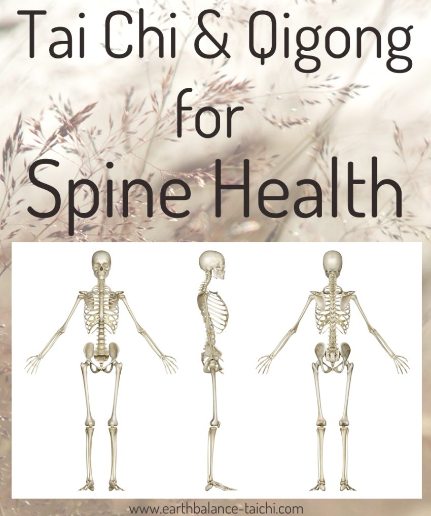 Tai Chi Qigong for Spine Health