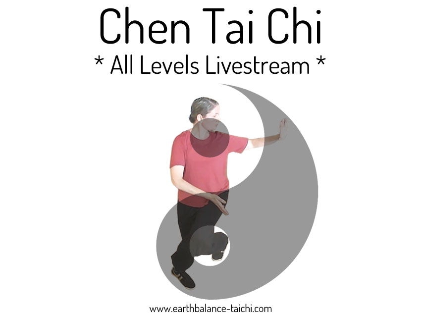 Chen Tai Chi Live Stream Class UK