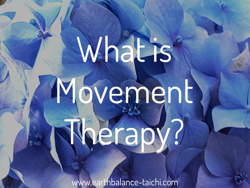 What is a Movement Therapist What is a Movement Therapist