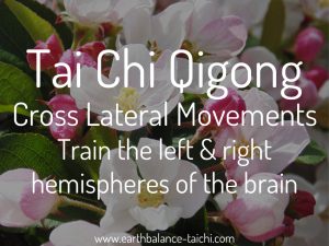 Cross Lateral Movements Tai Chi Qigong