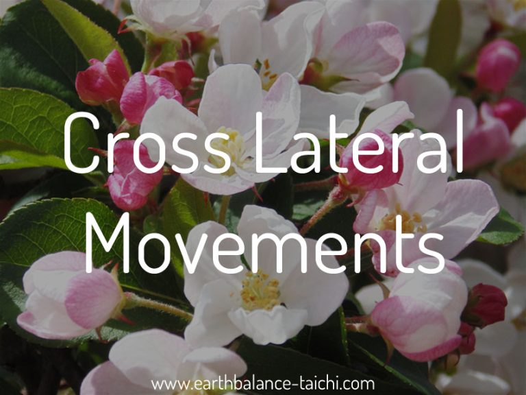 Cross Lateral Movements in Tai Chi